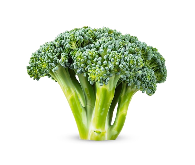 Broccoli isolated on white background broccoli clipping path