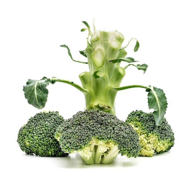 broccoli isolated on white background