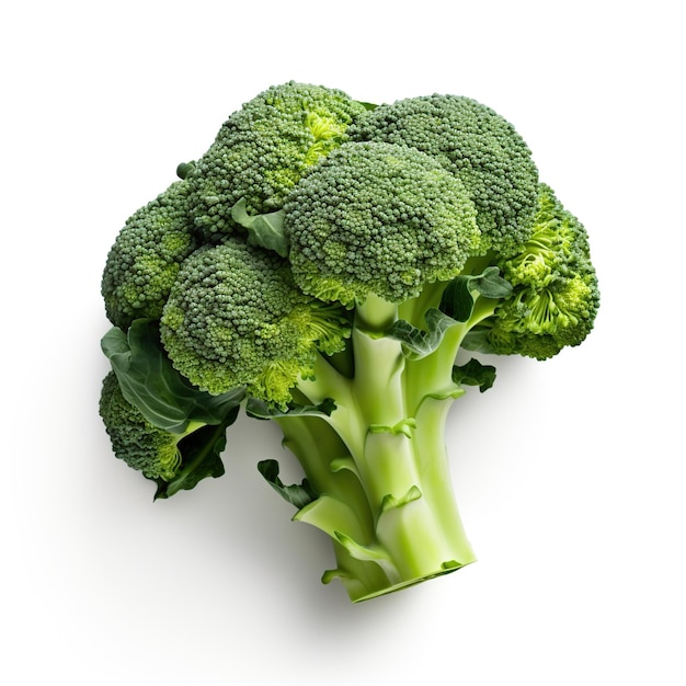 Foto broccoli su uno sfondo bianco isolato