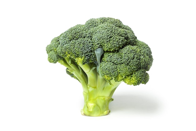 Broccoli isolated on white background