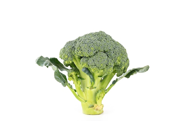 Foto broccoli isolati su sfondo bianco