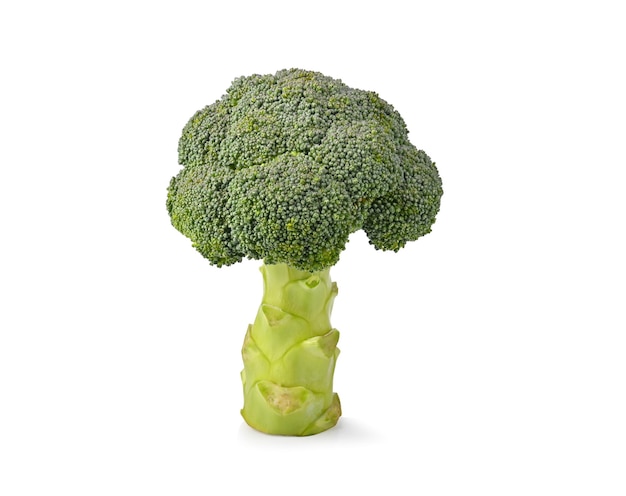 Broccoli op witte achtergrond