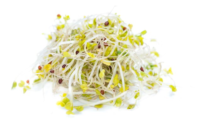 Photo broccoli sprouts isolated on white