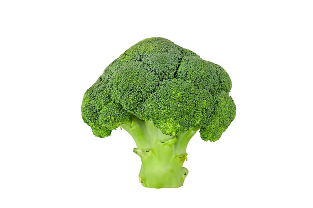 Photo broccoli vegetable isolate on white background