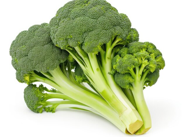 Photo broccoli on a white background generative ai
