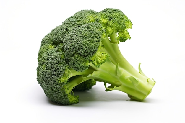 Broccoli on White Background Generative Ai