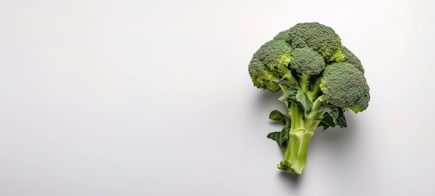 Broccoli on a white background top view Generative Ai