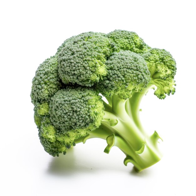 Broccoli on white background