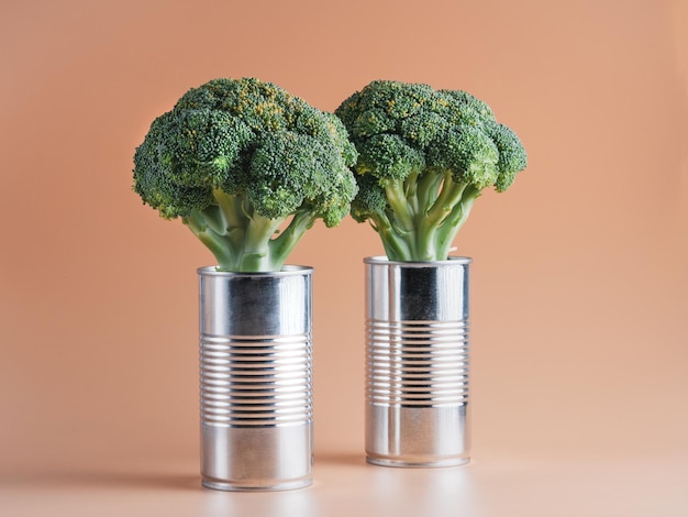 Broccoliplanten in twee blikken ingeblikt voedselconcept