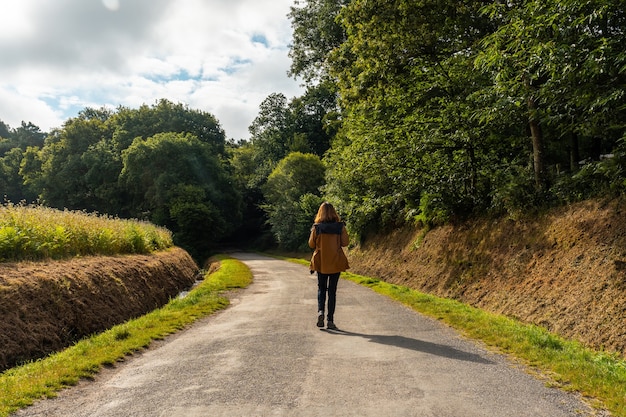 Brocelianda forest trail is een frans mystiek bos in het departement ille-et-vilaine, bretagne, in de buurt van rennes. frankrijk