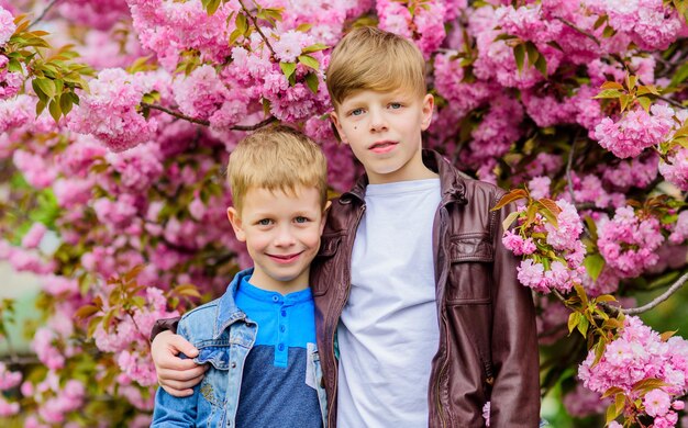 Broederschap concept Gelukkige lentevakantie Kinderen genieten van warme lente Jongens poseren in de buurt van sakura Kinderen lente roze bloemen van sakura boom achtergrond Plantkunde concept Broers genieten van kersenbloesem