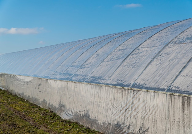 Broeikastunnel van polyethyleen plastic. Kas met groenten. Onder de strakblauwe lucht.