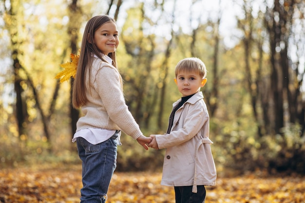 Broer met zus samen in herfstpark