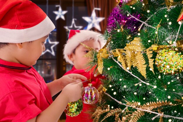 Broers die thuis een kerstboom versieren