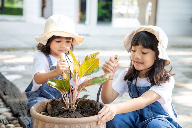 Broers en zussen Aziatisch meisje plant lentebloemen boom in potten in de tuin buiten het huis, kinderopvoeding van de natuur. zorgen voor nieuw leven. aarde dag vakantie concept. wereld Milieu Dag. ecologie.