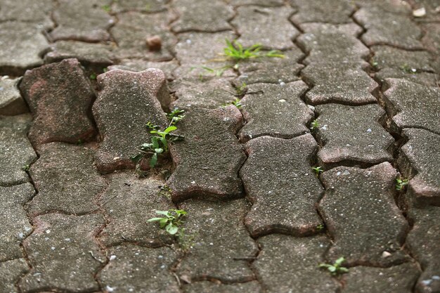 Broken brick road concrete cement texture