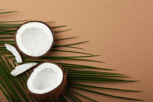 Broken coconut and palm branches on a colored background