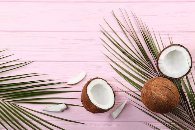 Broken coconut and palm branches on a colored background