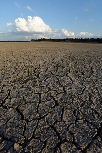 사진 팜파스 석호 라 팜파 지방 파타고니아 아르헨티나에서 부서진 건조한 토양
