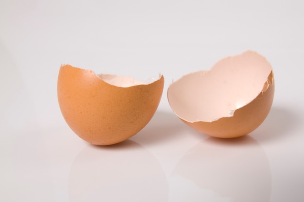 Broken Egg Shell