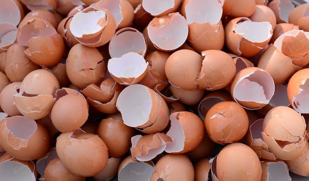 Broken eggshells background