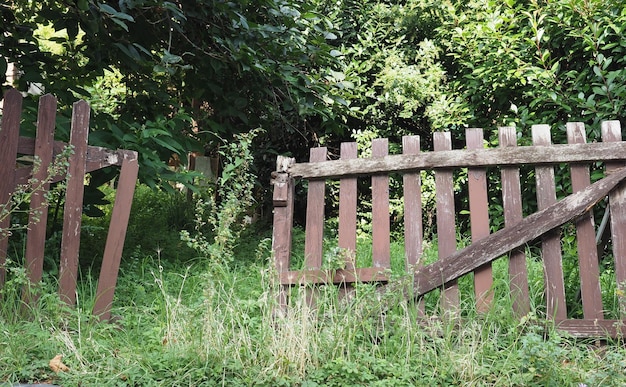 Broken fence in the grass