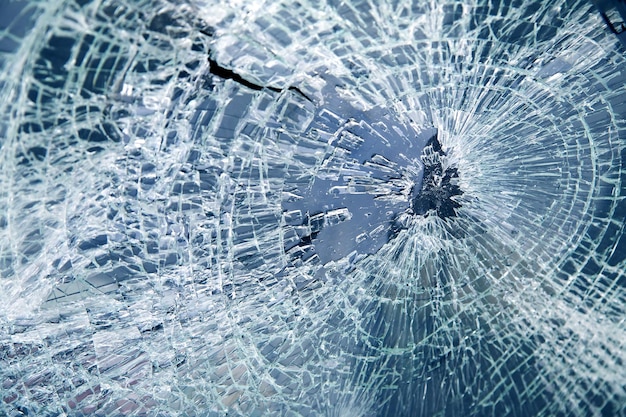 a broken glass window that has a bird flying through it