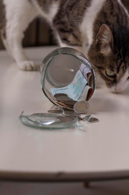 broken piggy bank with coins inside