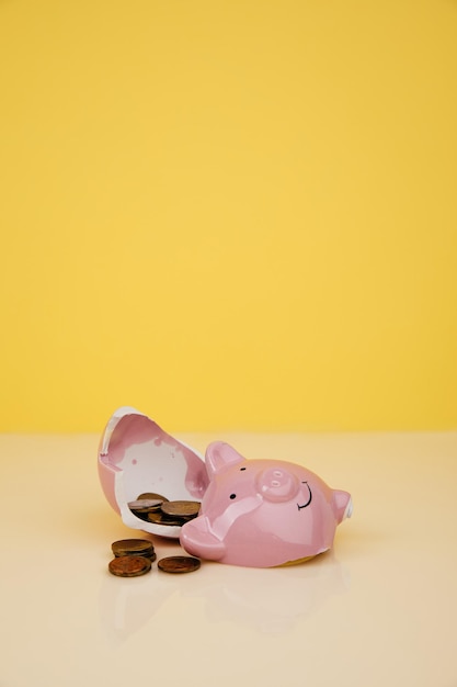 Broken piggy bank with money on table vertical image