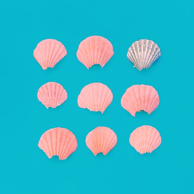 Broken seashells set Pink minimal art