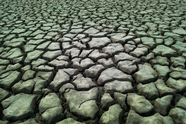 Broken soil in Pampas environment La pampa Province Patagonia Argentina