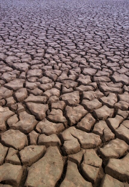 Broken soil in Pampas environment Patagonia Argentina