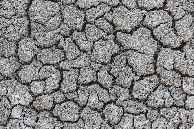 Broken soil in Pampas environment Patagonia Argentina