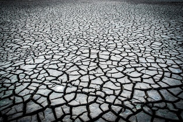 Broken soil in Pampas environment Patagonia Argentina