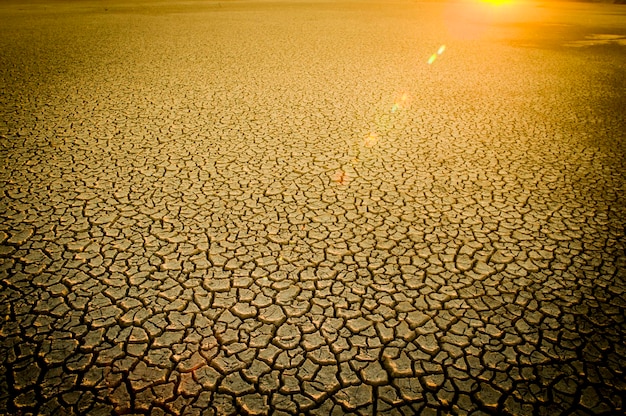 Broken soil in Pampas environment Patagonia Argentina