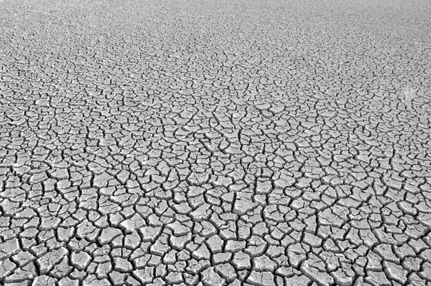 Broken soil in Pampas environment Patagonia Argentina