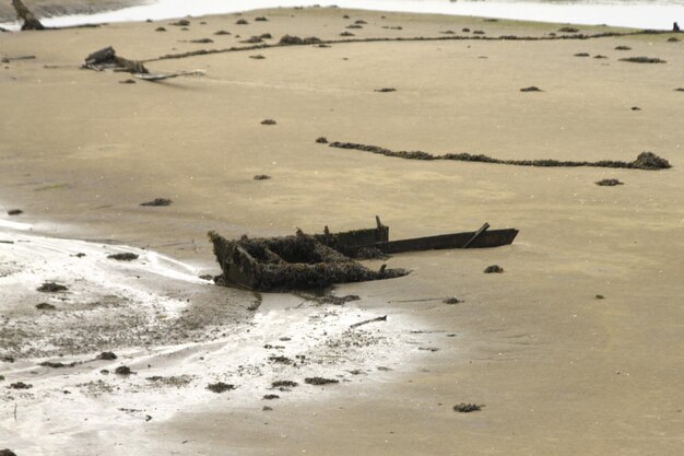 Broken wood on sand