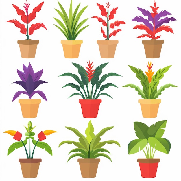 Bromeliad Bromeliaceae genera Pot Plant Icon Set Bromeliaceae genera Plant Flat Design