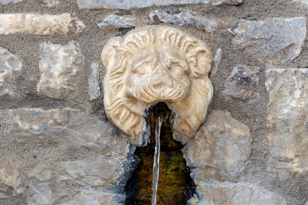 Foto bron in de vorm van een lion039s-kop met verse natuurlijke waterclose-up