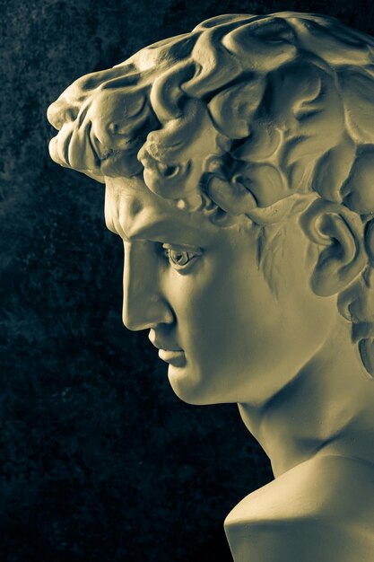 Bronze color gypsum copy of head statue david for artists on a\
dark background replica of face