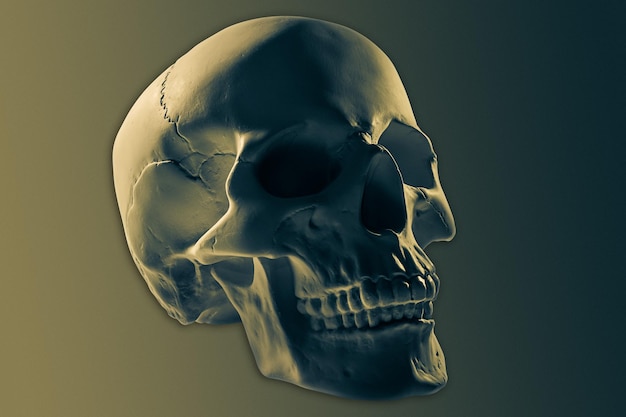 Фото Гипсовый человеческий череп бронзового цвета изолирован на красочном фоне образец гипсовой модели черепа для студентов художественных школ концепция судебной анатомии и художественного образования макет для рисования дизайна