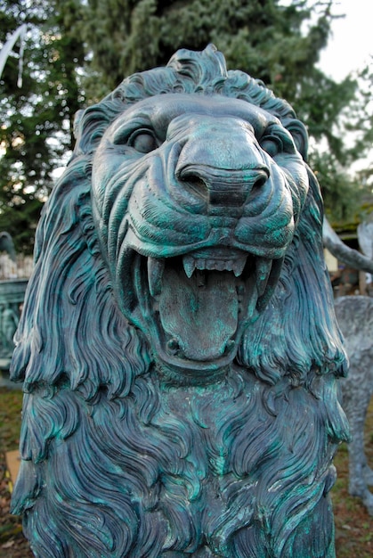 Photo bronze head of a lion