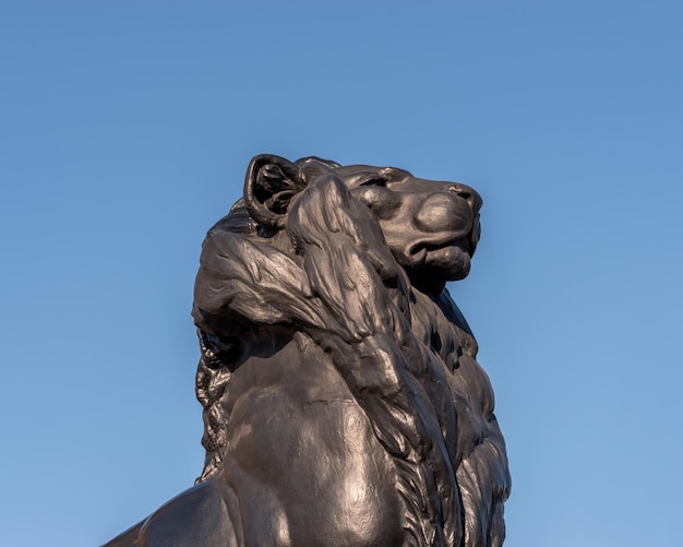 Statua in bronzo del leone sullo sfondo del cielo blu.