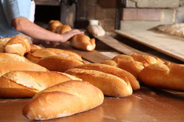 Brood Bakkerij