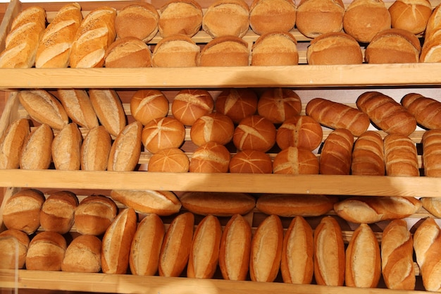 Brood Bakkerij