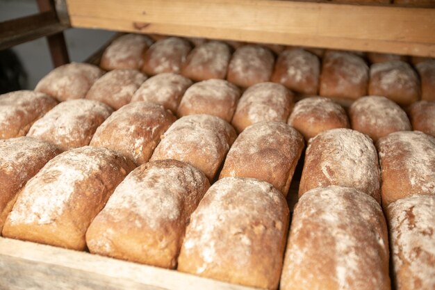 Broodbakkerij voedselfabriek productie met verse producten