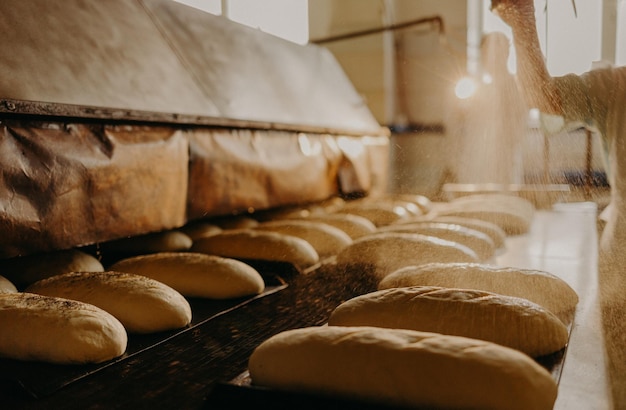 Broodbakkerij-voedselfabriek witbroodbrood