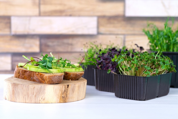 Broodjes met microgreens en avocado op tafel. Gezond eten concept van schoon voedsel