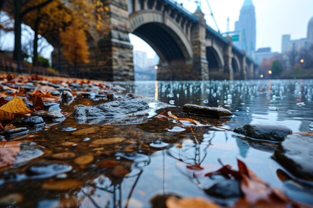 Brooklyn bridge in autumn New York City United States