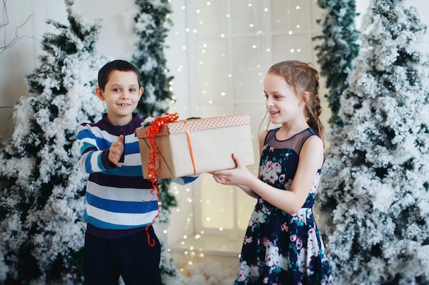 Brother and sister give each other a gift box near the Christmas tree.